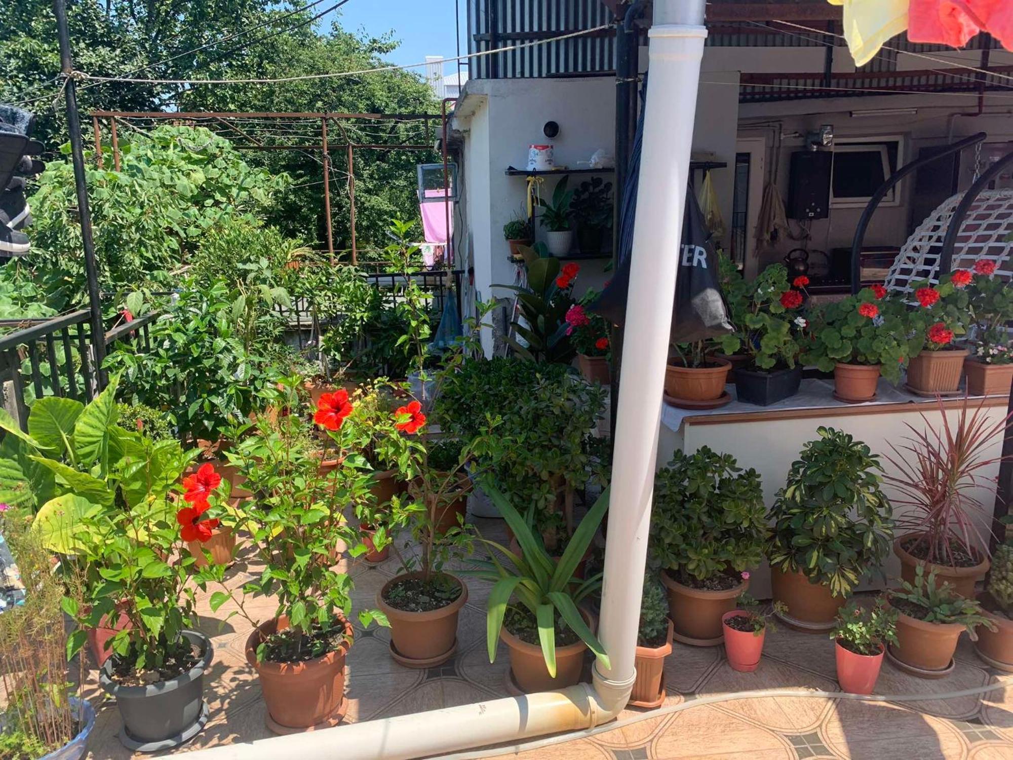 Tinas Sweet Home บาทูมิ ภายนอก รูปภาพ
